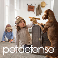 Pet Defense carpet exclusively at Orliesnow  